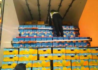 高速收費(fèi)站嚴(yán)厲打擊假冒綠色通道車輛，保障政策落實(shí)